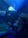 Sharkray (not the right term but you know what we mean)