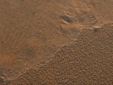 The rain has still left his marks on the sand and the sea washes it away - lyric almost