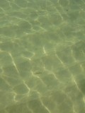 South Cape.... this water is not 10 cms deep!! but about 2-3!!! really nice..