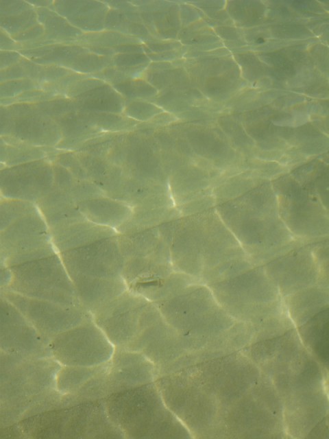 South Cape.... this water is not 10 cms deep!! but about 2-3!!! really nice..