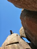 Dolorite coloumns at Mount Wellington in Hobart