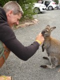 Cute little fellow - of course he wants food - but doesnt get any :D