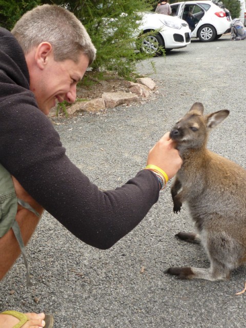 Cute little fellow - of course he wants food - but doesnt get any :D