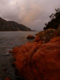 The colours were just stunning and the atmosphere fantastic...