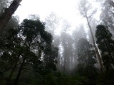 Lake Mountain - awesome atmosphere...Whitewalkers land