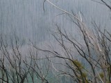 Had been burning here some time ago....