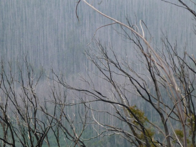 Had been burning here some time ago....