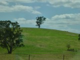 Rolling Hills