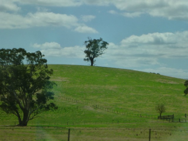 Rolling Hills