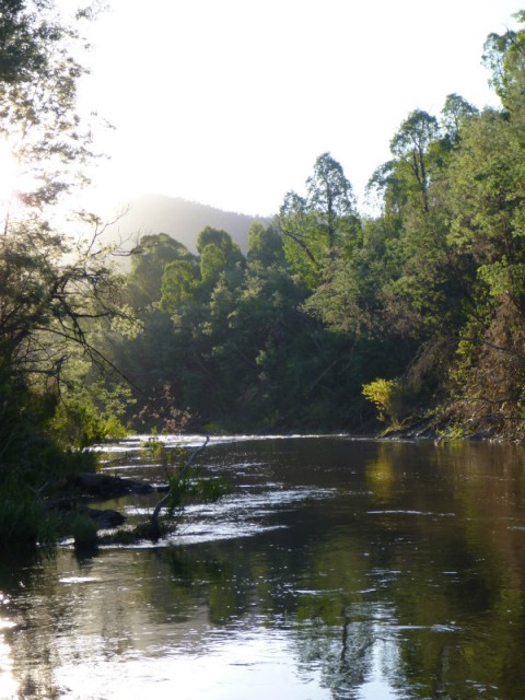 The River...