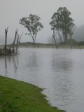 Lake Eildon in the morning...