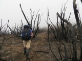 Mordor.... weird to walk through the fire left overs ( fire about 3 weeks ago!!)