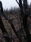 Awkward feeling to go through nomansland - like after a war
