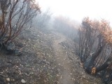 Back through the burnt remains....
