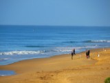 Surf Fishing is popular here... and fun :)