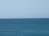 Do you spot the Dolphins?! :)