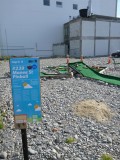 :) Mini (Trash) Gold across the city to attract people back into town