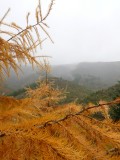 Te Moana Gorge - long drive in but very nice
