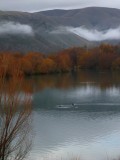 On our way to Queenstown