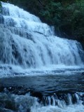 Purakaunui Falls - An icon of the Catlins...full of water after the past rains