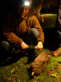 Went Possumhunting at night and got a few :))