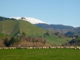 The farm flanked by some hills