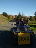 We had to bring the sheep to another paddock along the road.... fun!!! new experience...