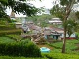 A tea workers village...