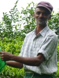 Happy Tea picker....:)