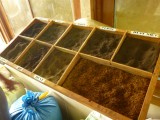 The different sorts they are producing.... only black tea... green tea is differently produced