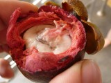 Another new fruit - Mangosteen... tastes somewhat like strawberry, lychee, mangoish....