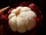 Mangosteen as a whole