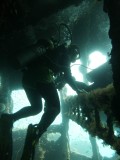 In the wreck a Boilerwreck meaning a english steamship from 70 years ago