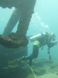 The rudder mechanism