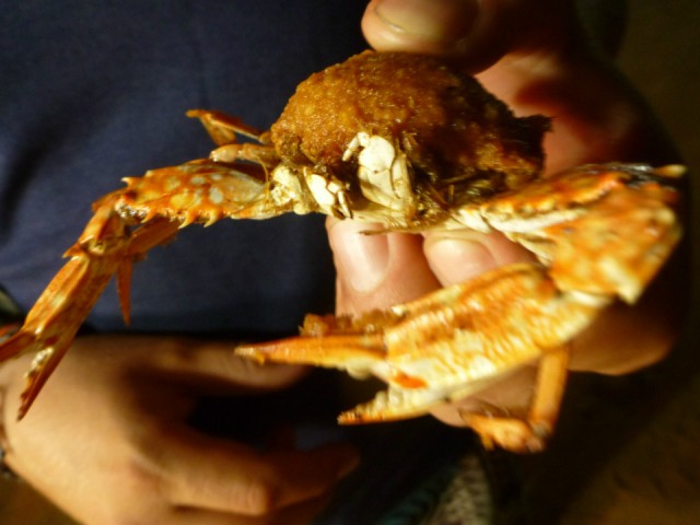 little crab.... not much meat on it but deliciosa!!