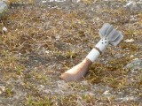 :D Area has been used as a military training camp... can you imagine?! cleaning it up but... :)