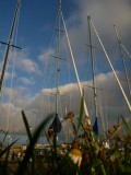 Sailing is just great!