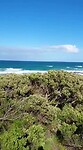 VID-20220327-WA0005