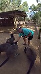 VID-20220401-WA0018