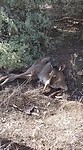 VID-20220407-WA0002