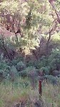 20220416_075759
