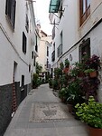 Guejar Sierra