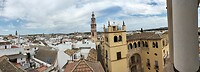 Vanuit de toren van het Palacio