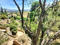 IMG20230606150304