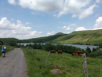 IMG20230616145501_BURST016
