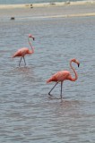 DSC_1315