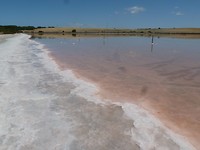 Pink Lake Meningie