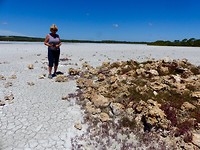 Opgedroogde zoutpan