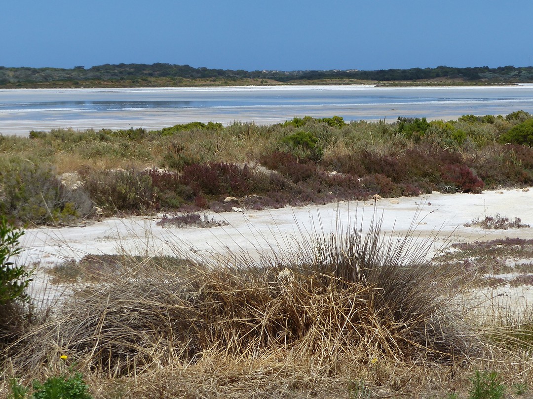 Diverse lagen in de Peninsula