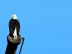 IMG_5011